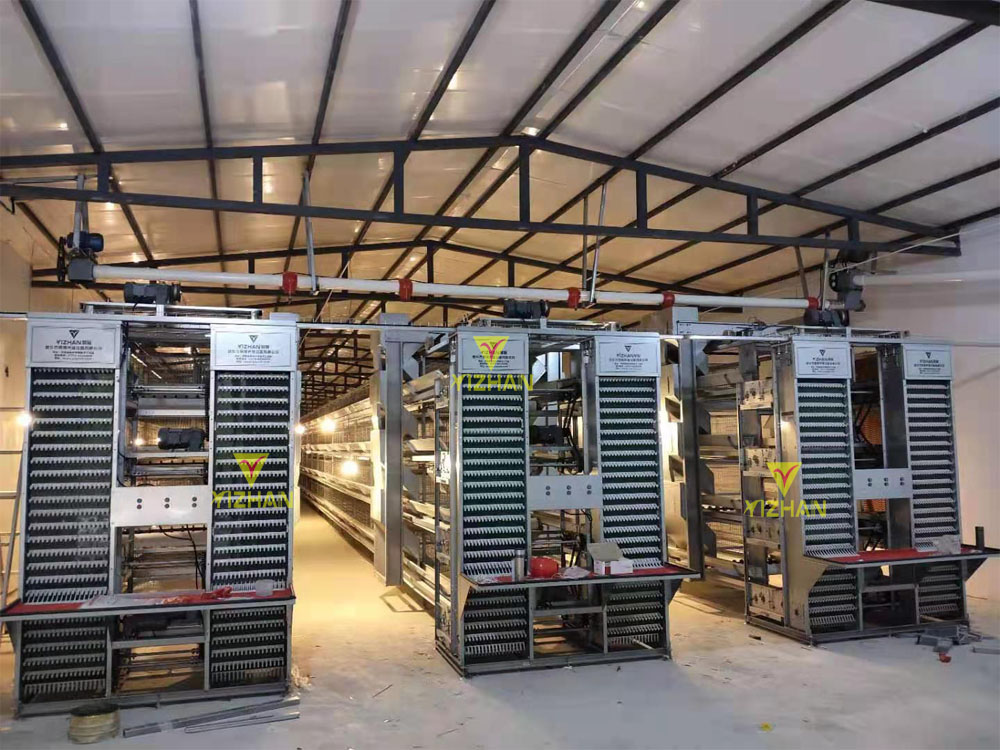 自動撿蛋機(jī)